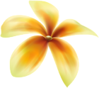 Yellow Flower PNG Deco Image