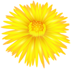Yellow Flower Transparent PNG Clip Art