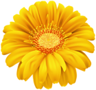 Yellow Gerber Flower PNG Transparent Clipart