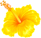 Yellow Hibiscus Flower PNG Clipart