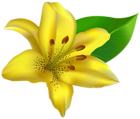 Yellow Lilium Transparent PNG Clip Art Image