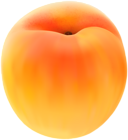 Apricot Free PNG Clip Art Image