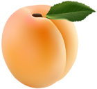 Apricot Transparent PNG Clip Art Image