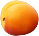 Apricot Transparent PNG Image | Gallery Yopriceville - High-Quality ...