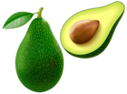 Avocado PNG Vector Clipart Image