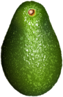 Avocado Transparent Image