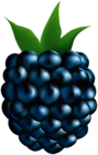 Blackberry PNG Clipart