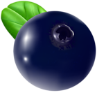 Blueberry Transparent PNG Clip Art Image