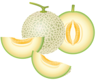 Cantaloupe Melon PNG Clipart