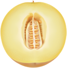 Cantaloupe PNG Clip Art Image