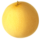 Cantaloupe PNG Clipart Picture