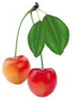 Cherries Clipart Picture