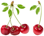 Cherries PNG Picture