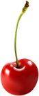 Cherry Free PNG Clip Art Image