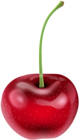 Cherry PNG Clip Art Image