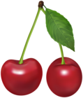 Cherry PNG Clipart Image