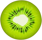 Circle of Kiwi Transparent PNG Clip Art Image