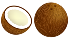 Coconut PNG Vector Clipart Image