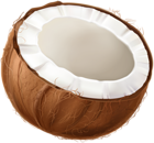 Coconut Half PNG Clipart