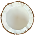 Coconut PNG Clip Art Image