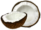 Coconut Transparent Clip Art Image