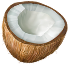 Coconut Transparent PNG Clip Art