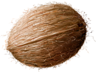 Coconut Transparent PNG Clip Art Image