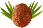 Coconut Transparent PNG Clip Art Image