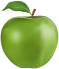 Fresh Apple PNG Clipart