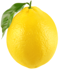 Fresh Lemon PNG Clip Art Image