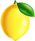 Fresh Lemon PNG Clipart