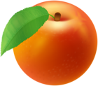 Fresh Peach PNG Clipart