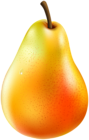 Fresh Pear PNG Clipart