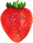 Fresh Strawberry Fruit PNG Clipart