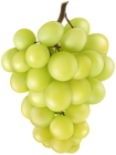 Grape PNG Clip Art Image