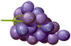 Grape PNG Clipart Picture