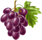 Grapes Fruit PNG Clipart