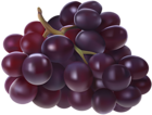 Grapes Transparent PNG Image