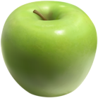 Green Apple Clip Art Image