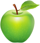 Green Apple PNG Clip Art Image