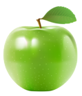 Green Apple PNG Clipart Picture