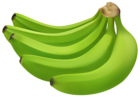 Green Bananas PNG Transparent Clipart
