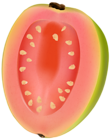 Guava Fruit PNG Clip Art Image