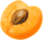 Half Apricot PNG Clip Art Image