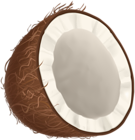Half Coconut PNG Clipart