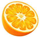 Half Orange PNG Vector Clipart Image
