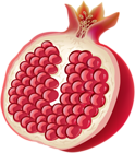 Half Pomegranate PNG Clip Art Image