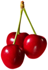 Large Cherries PNG Clipart