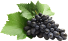 Large Grapes PNG Clipart