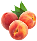Large PNG Peaches Clipart